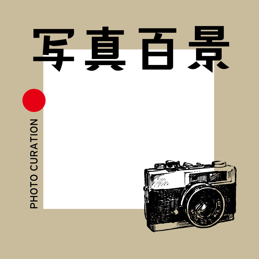 写真百景 PHOTO CURATION「Layout on Table」 • hairspace Bonita